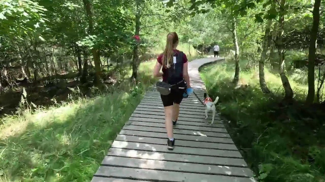 Hiking with a dog: Modra Zochova chata, Zámčisko, pod Zámčiskom