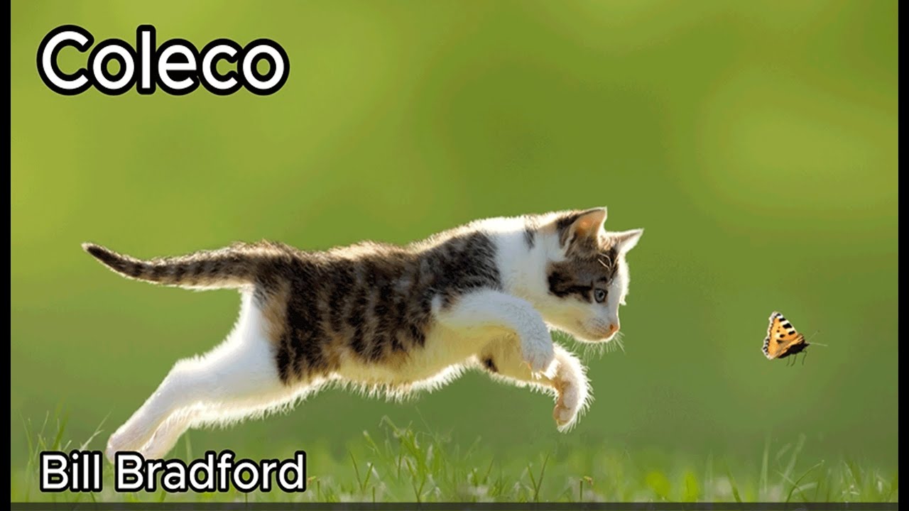 Coleco