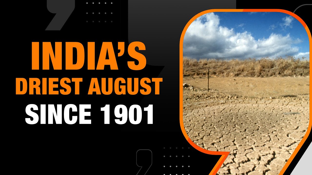 India Faces Driest August Since 1901 | Rain deficit over 30%, 20 Monsoon &lsquo;Break&rsquo; Days | News9