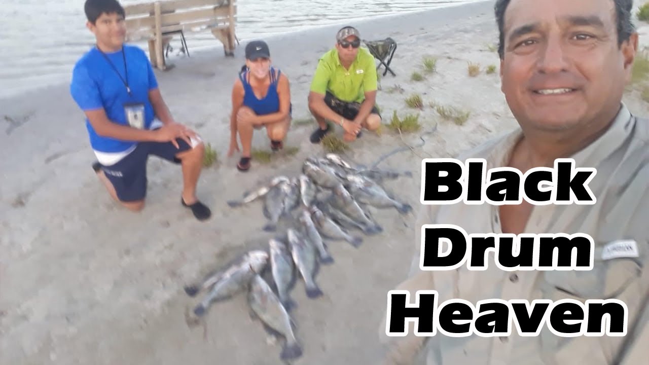 Best Black Drum Fishing Hole in Corpus Christi, North Padre Island Area! #best #fishing #blackdrum