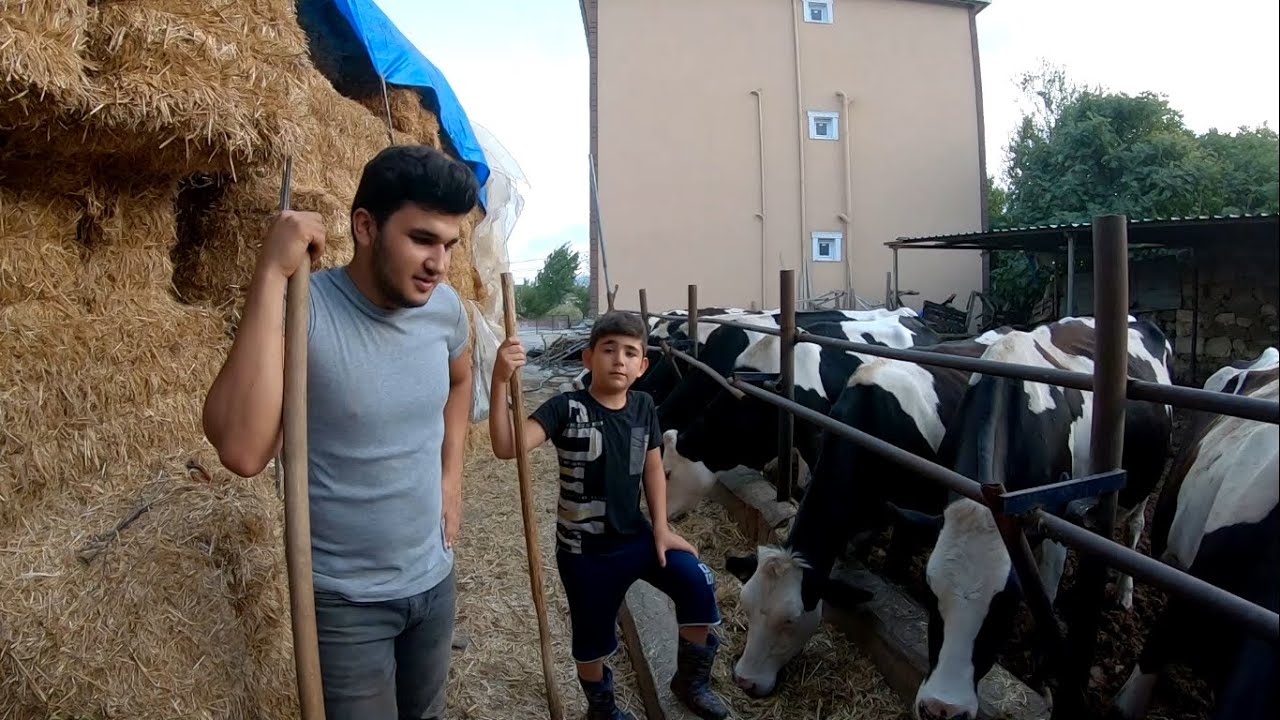 ÇİFTLİĞİMİZDEKİ BÜYÜKBAŞ HAYVANLARIN BAKIMI