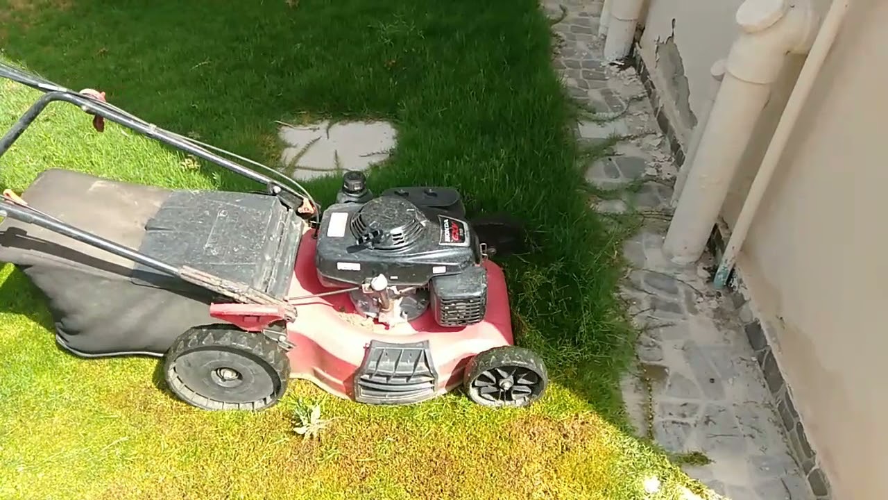 إحذر ممكن القص يتسبب في اصفرار النجيل Be careful, mowing the grass can cause yellowing of the grass