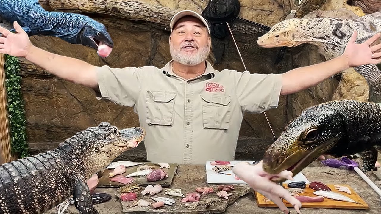 FEEDING PREHISTORIC REPTILES🤩