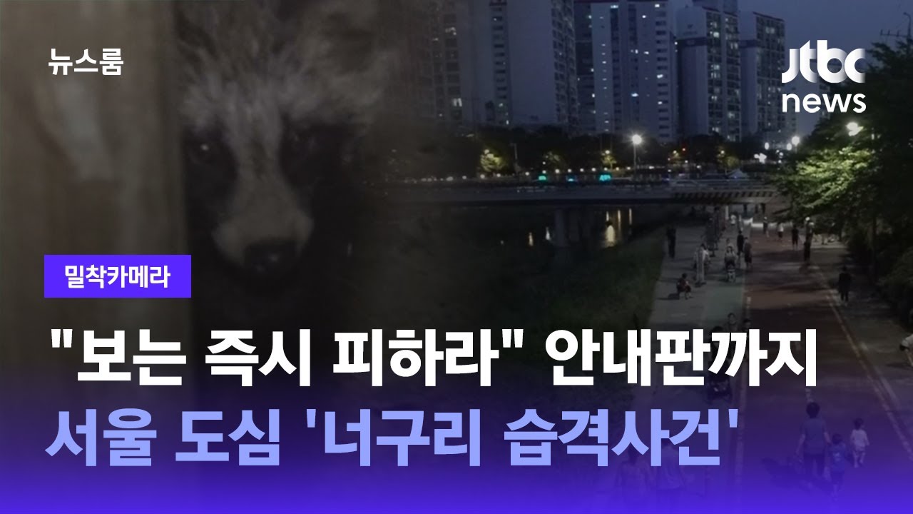 [밀착카메라] 