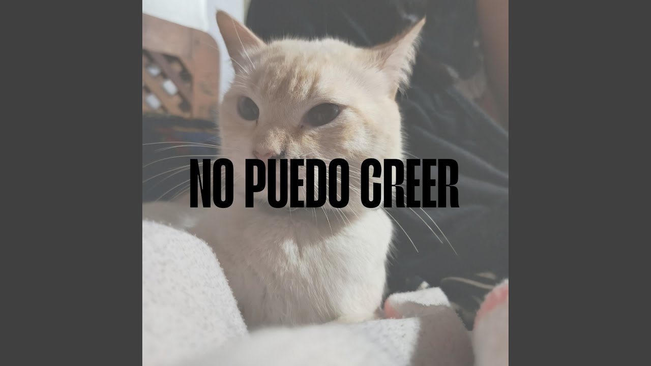 No Puedo Creer