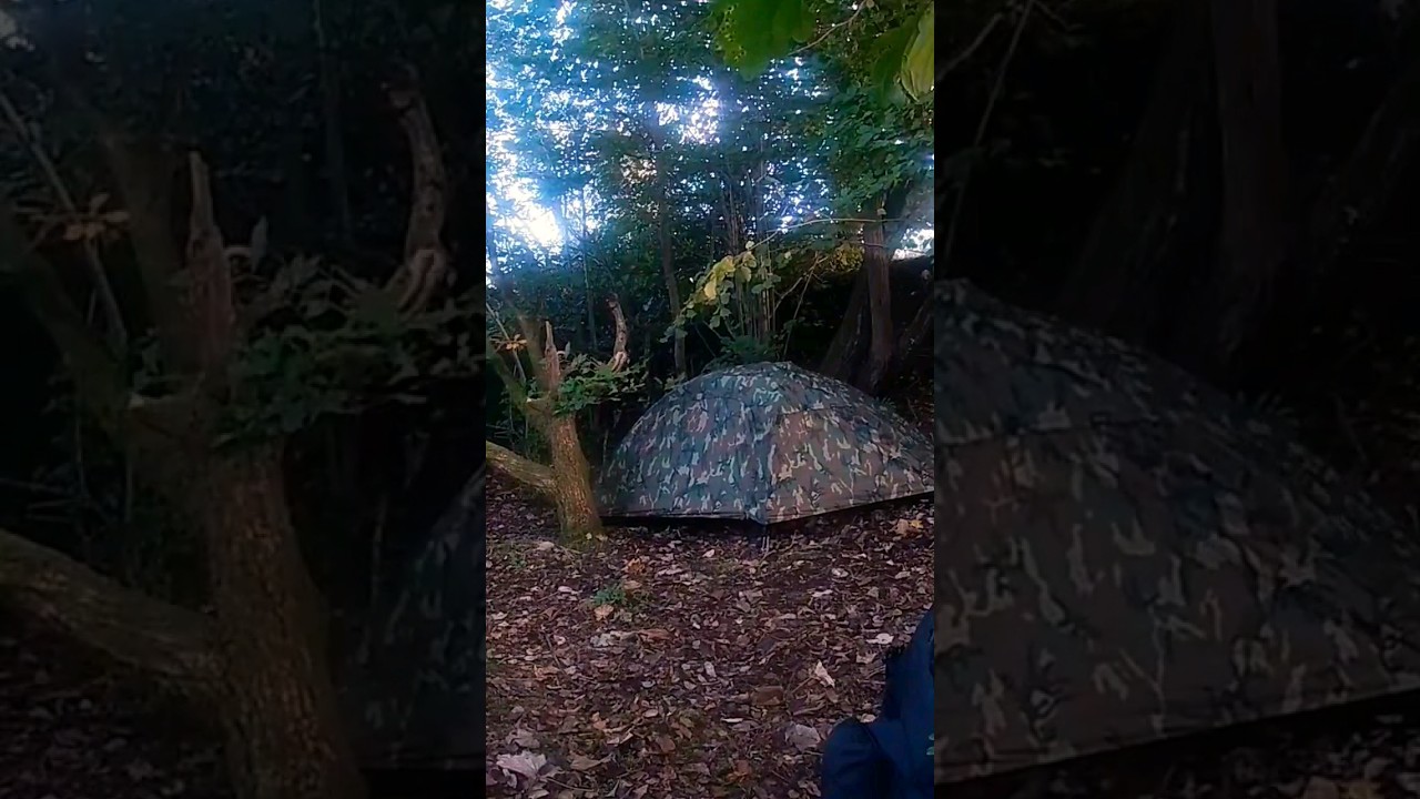 Miltec recom 1 man tent, time lapse.   #outdoors #wildcampinguk #miltecrecom #miltec #1mantent #camp