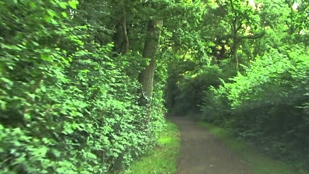 Horton Country Park Circuit at Normal Speed (Silent)