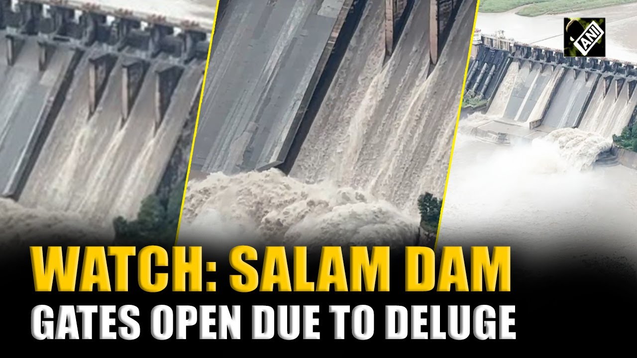 WATCH: Salal dam gates open to manage rising inflow after incessant rainfall hits J&K