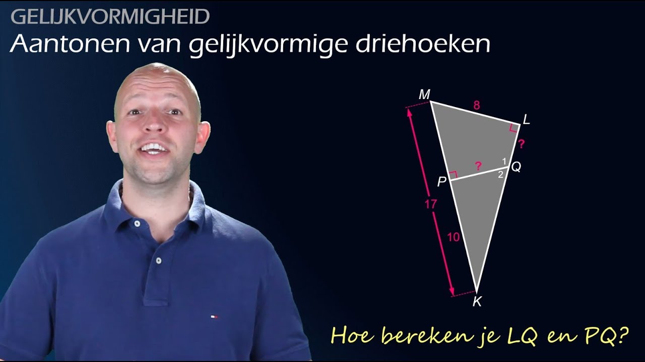 Hoe toon je gelijkvormige driehoeken aan? (havo 3) - WiskundeAcademie