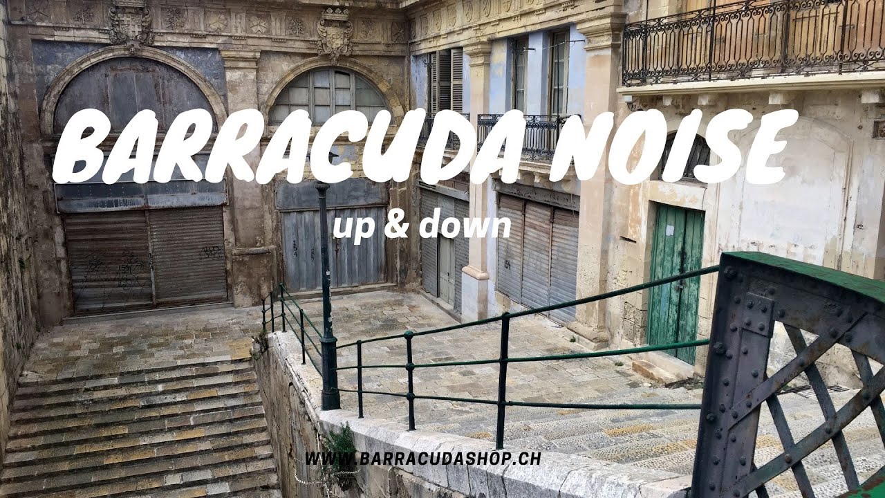 Barracuda noise - up & down (official video )