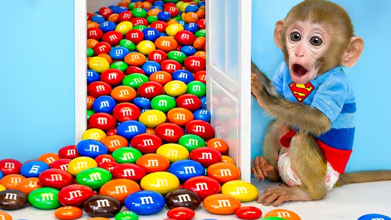 小猴子 BonBon 發現M&M糖果寶藏，開心不已！– BonBon 台灣