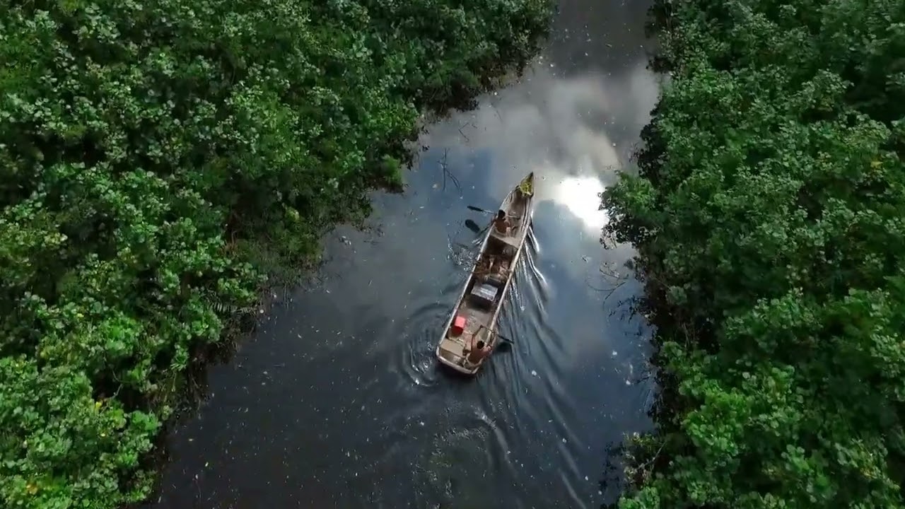 O Segredo dos Encantados: Floresta Amazônica e Seus Encontros Sobrenaturais