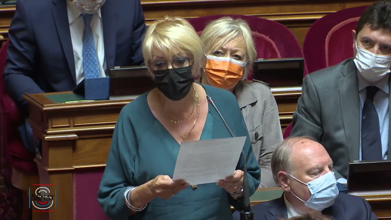Sénat - Enlèvement d'enfants franco-japonais - QAG - 21/07/2021