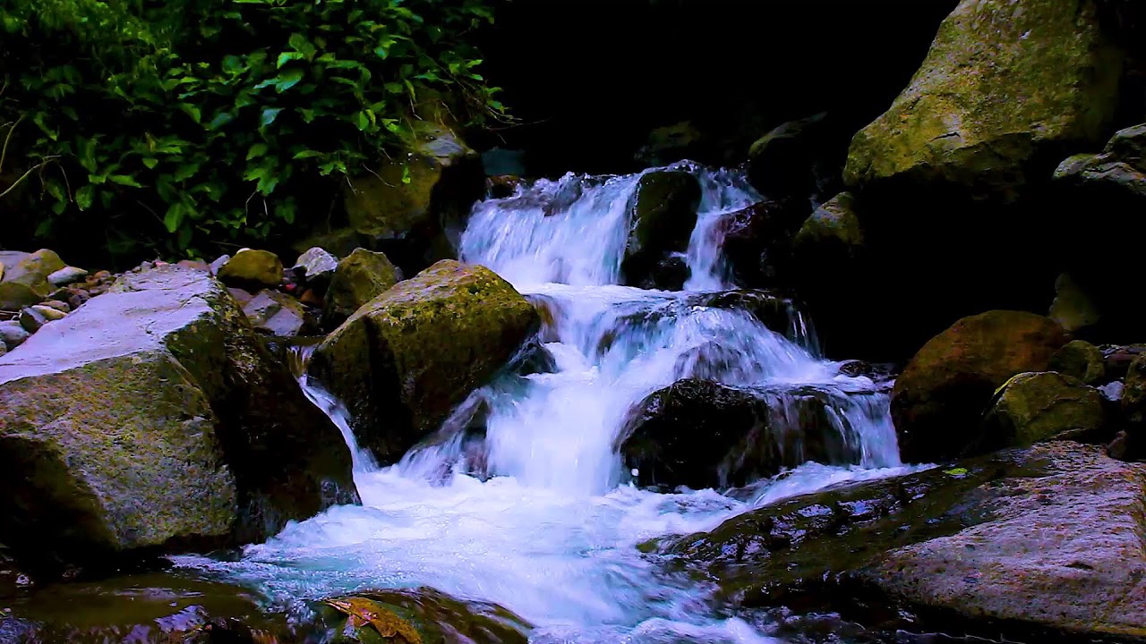 Continuous Mountain Stream | Calm Forest Water Sounds for Sleeping