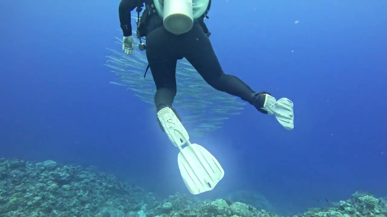 Niue Open Ocean Diving
