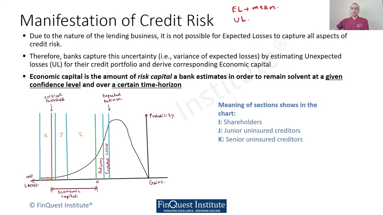 Manifestation of credit risk in banks and lending insitutions