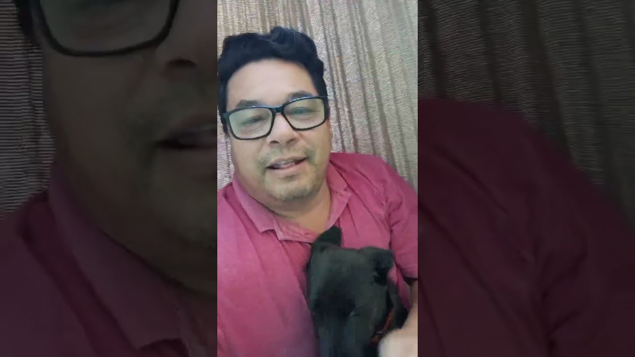 O pingo tá demais kk♥️♥️♥️♥️#petsfofinhos #cachorro 