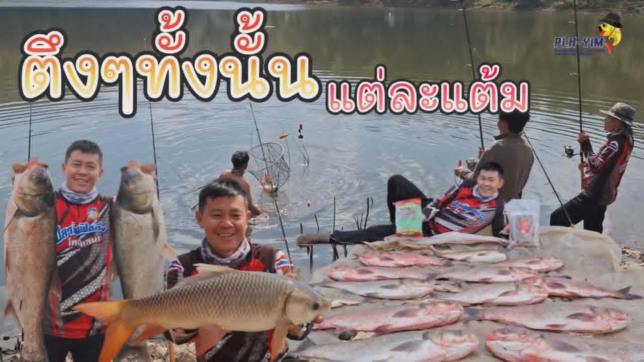 ตึงๆทั้งนั้นแต่ละแต้ม ตกปลาอ่างห้วยยางเชียงราย (คลิปที่ 467)