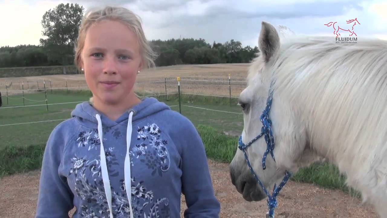 Kinder-Sommer-Reitcamp bei Fluidum : Der Kurzfilm