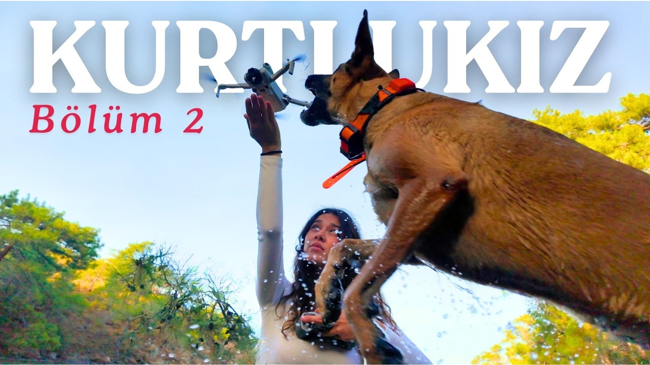 İlk Gece Sakin Geçmedi... | Kurtlu Kız Solo Kamp - Bölüm 2