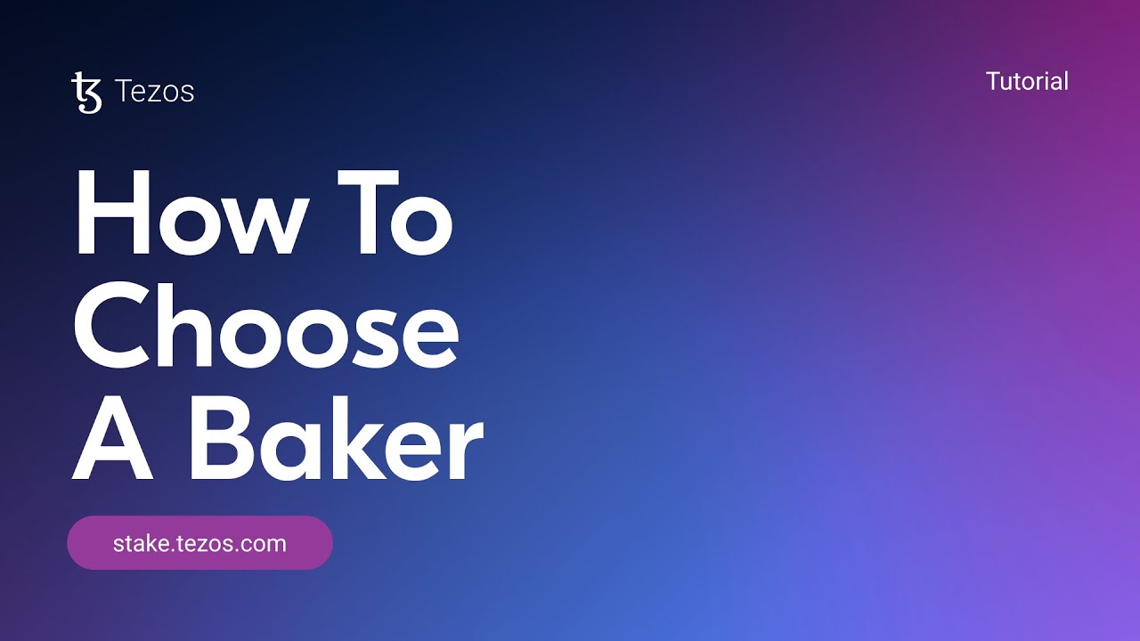 Tezos Staking Tutorial #2 | How To Choose A Baker