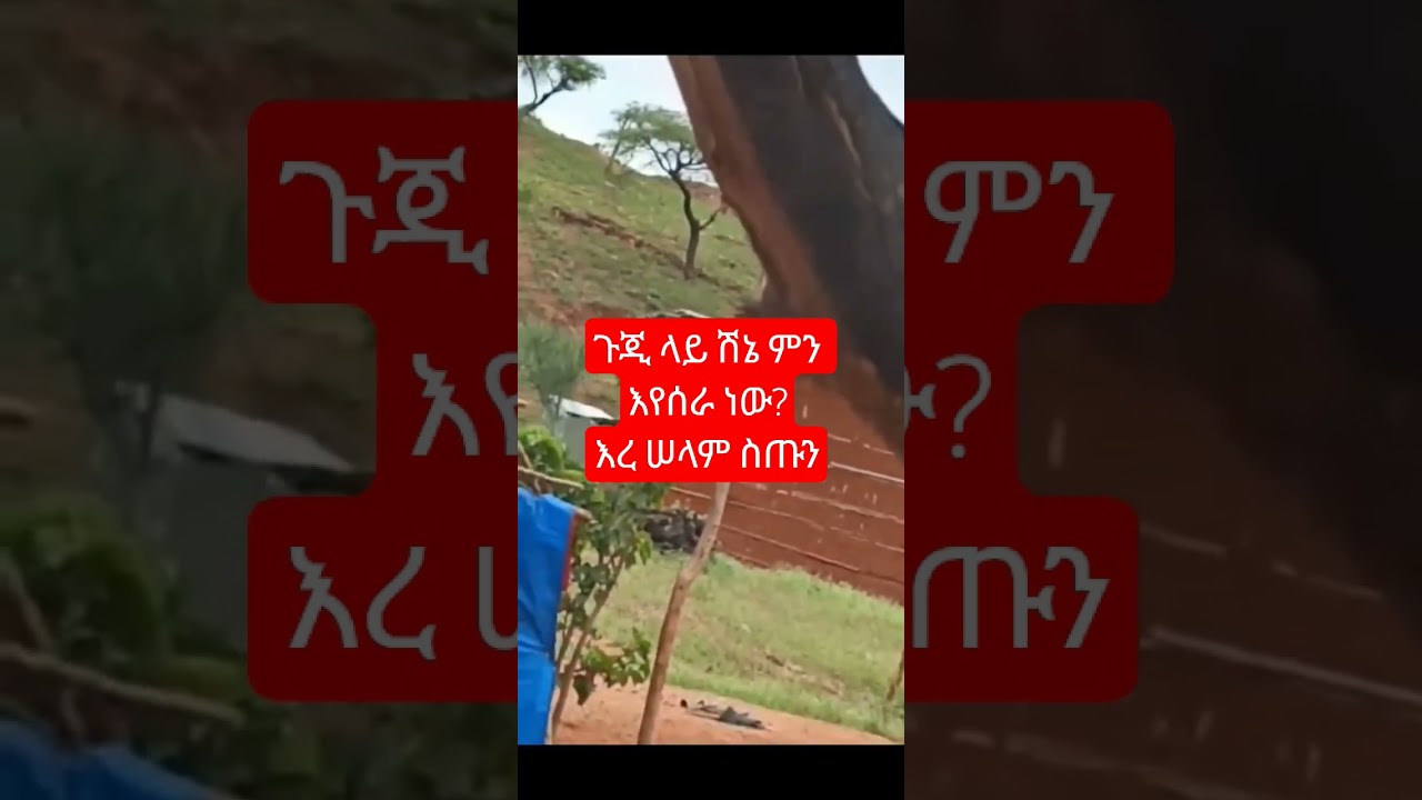 #ethiopia #war #peace