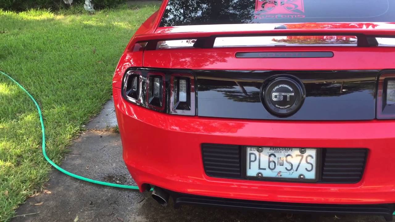 Zaino show car polish