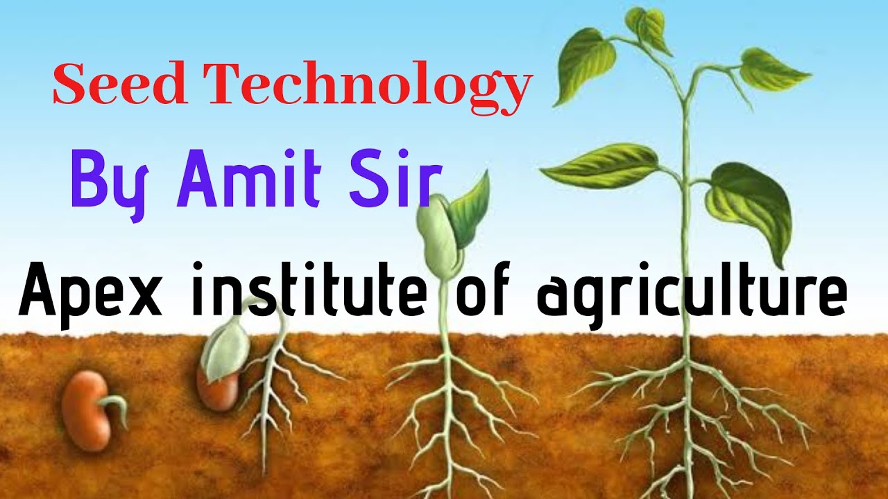 Basic Concept of Seed Science for IBPS - SO (AFO) || BY Amit Sir || Apex institute || Apex Study