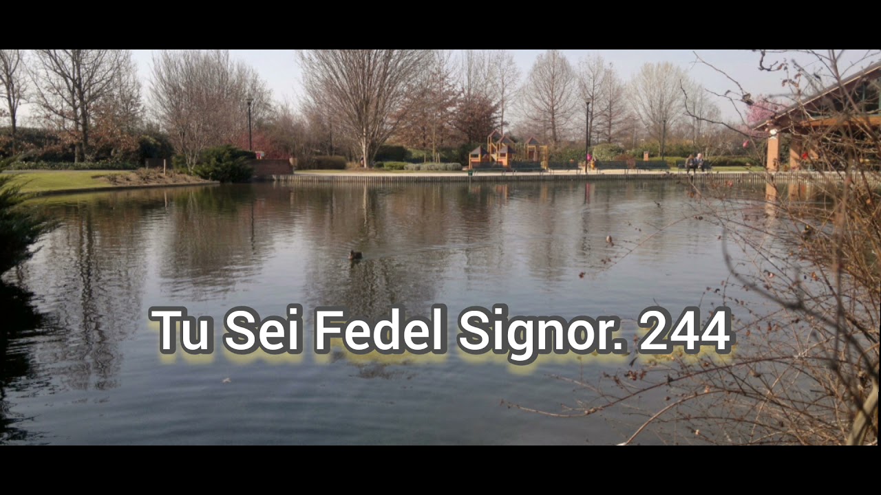 Tu Sei Fedel. Signor.  244 da inni di lode.