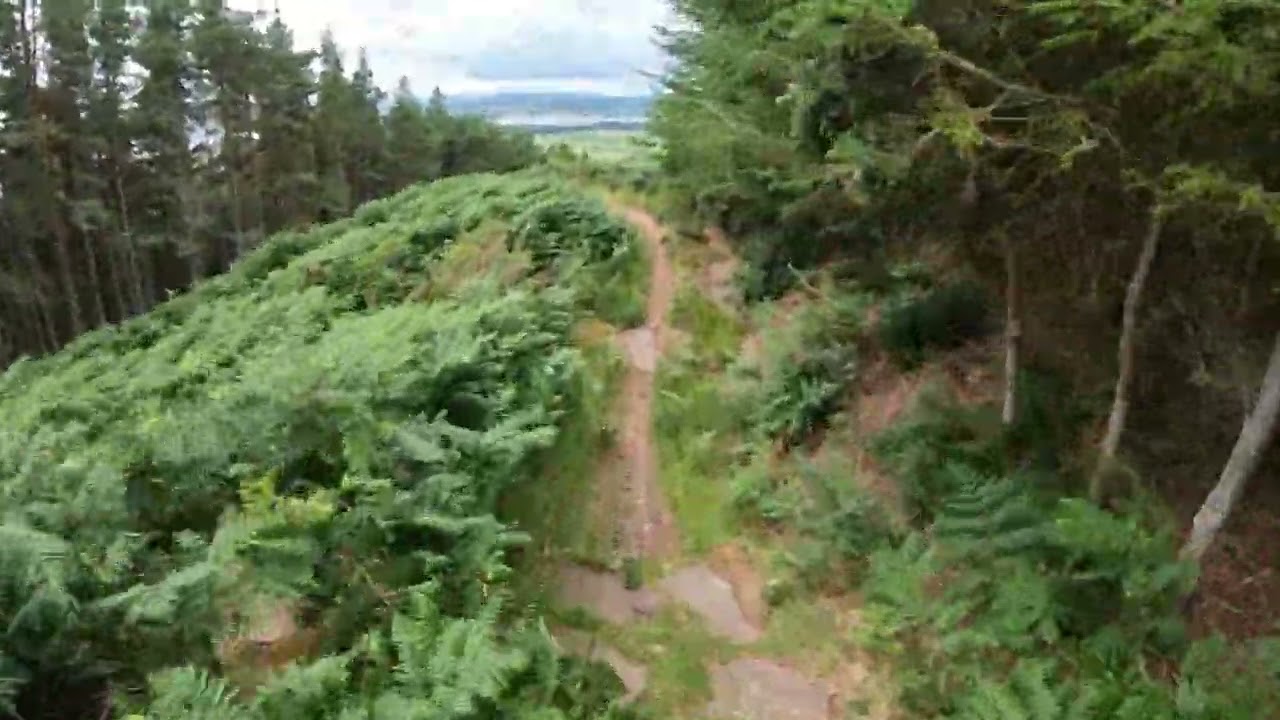 Golspie MTB WildCat Trails Red/Black
