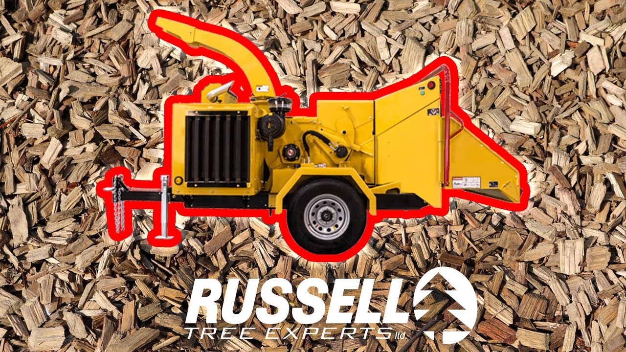 Как использовать измельчитель древесины от Russell Tree Experts