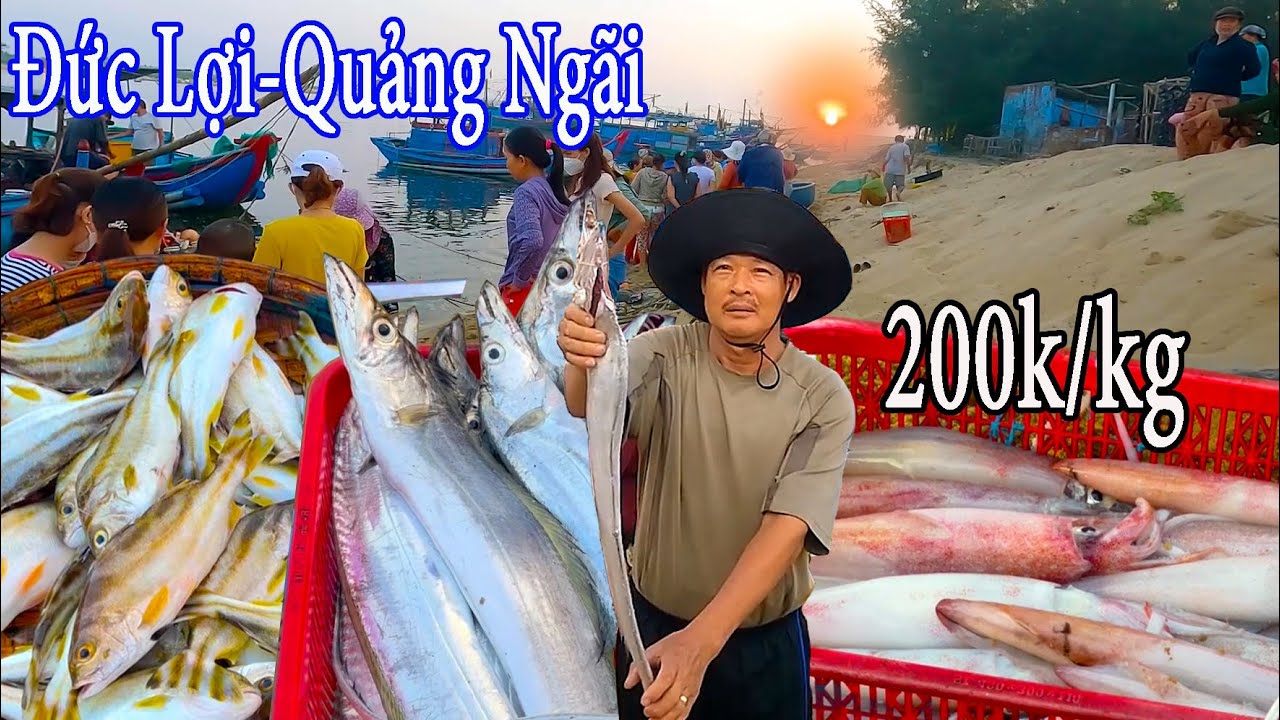 Mùa Cá Hố Biển Bên Dòng Sông Vệ,Đặc Sản DON Quảng Ngãi Ngon Ngất Ngây Cùng Cô Lái Đò.