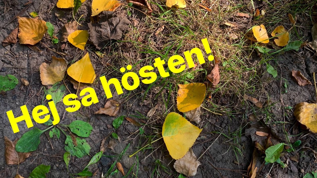 Höstsånger barn: Hej sa hösten! (med text) | Melodi: Vivaldis fyra årstider - hösten