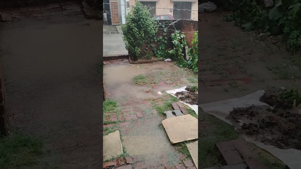 compost wali mitti prr pani phir gya#youtubeshorts #garden #shorts