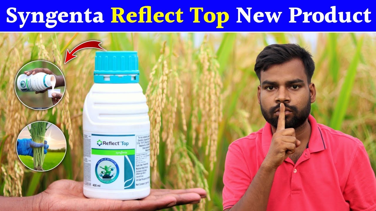 Reflect Top Syngenta | दमदार और लंबे समय तक सुरक्षा | New Fungicide 💯