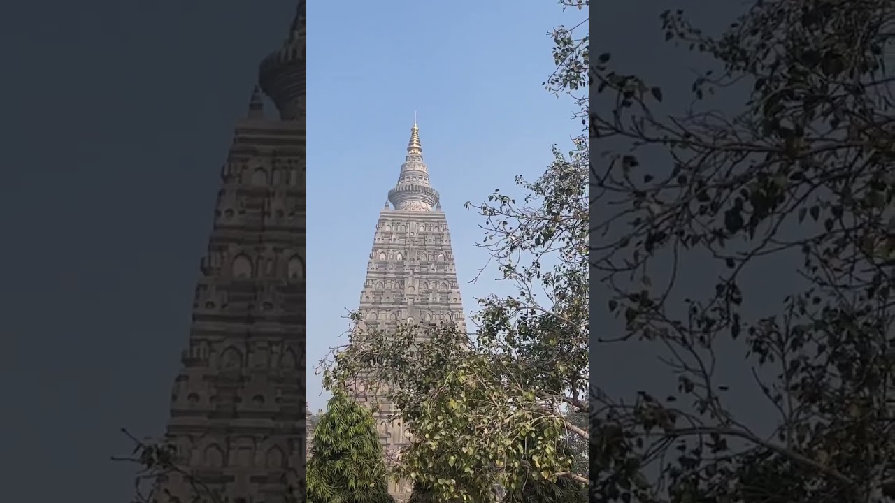 bodhgaya Budhmahotsav