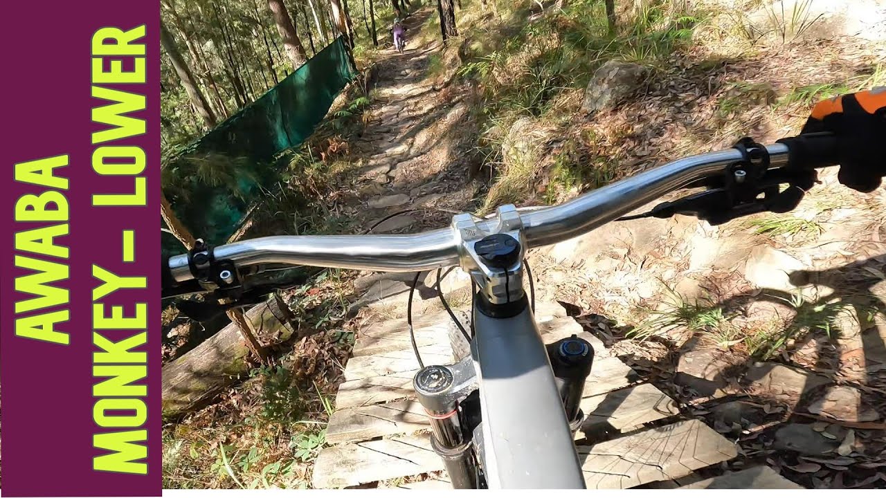 Awaba - Monkey DH (Lower Section)