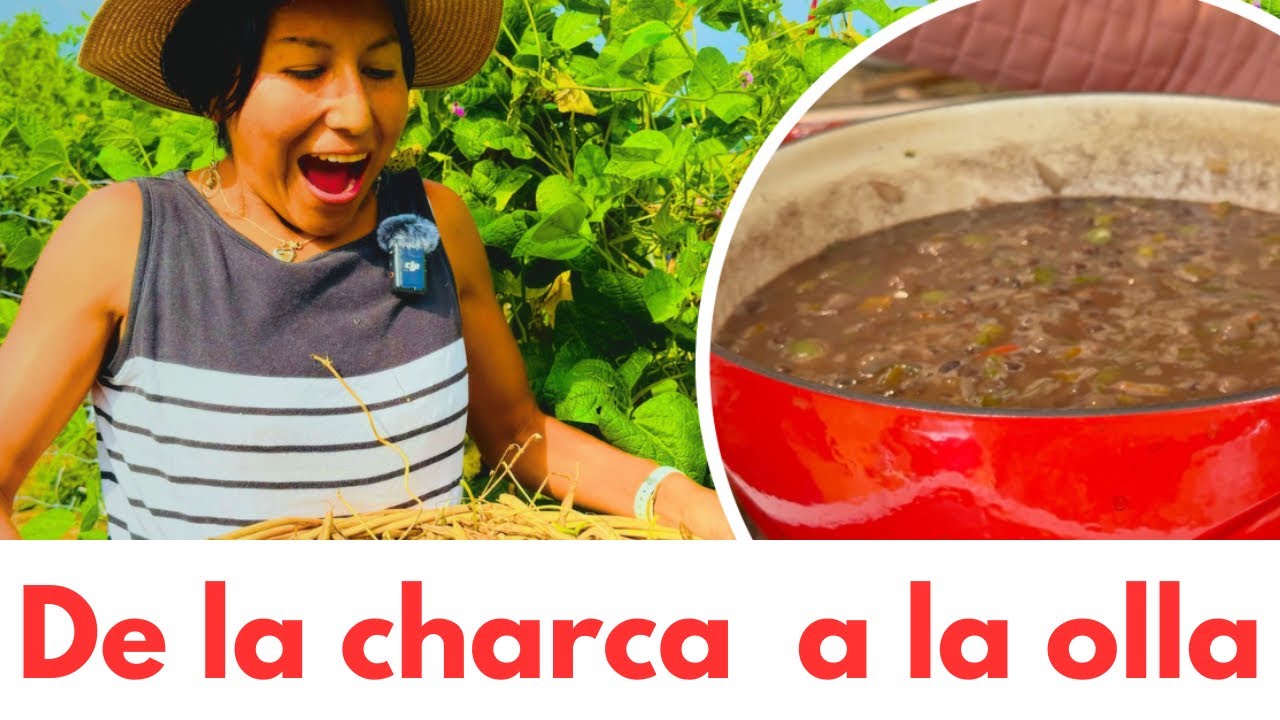 FRIJOLES negros a lo Cubano SUPER FACIL y DELICIOSO😋🇺🇸