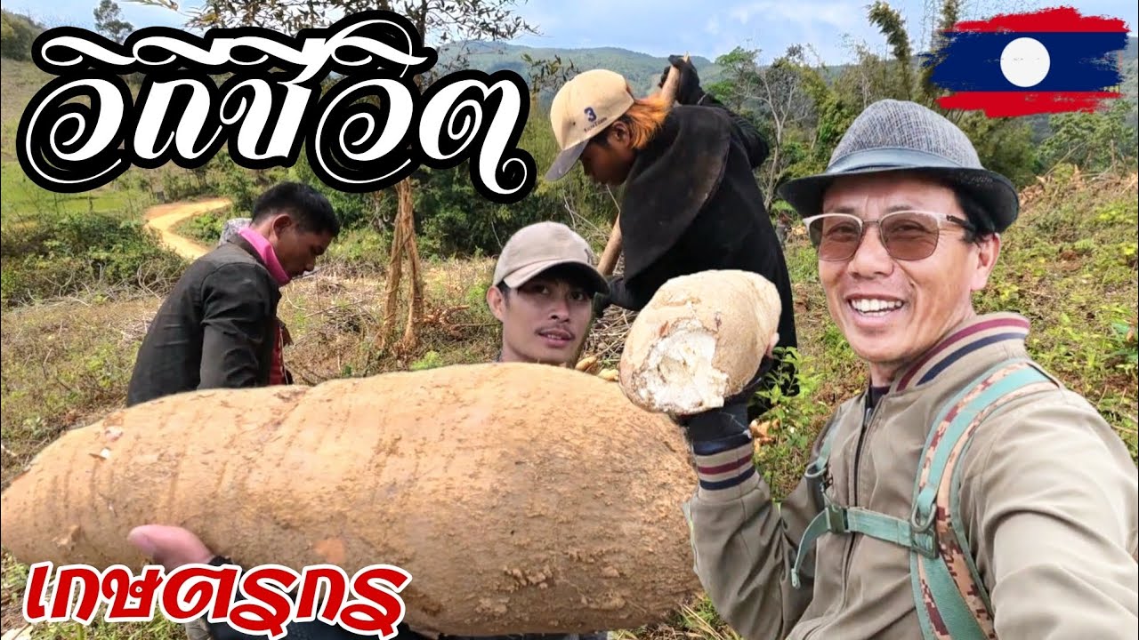 วิถีชีวิตชาวเกษตรกรในชนบท เพื่อจะได้เงินมาเลี้ยงครอบครัว