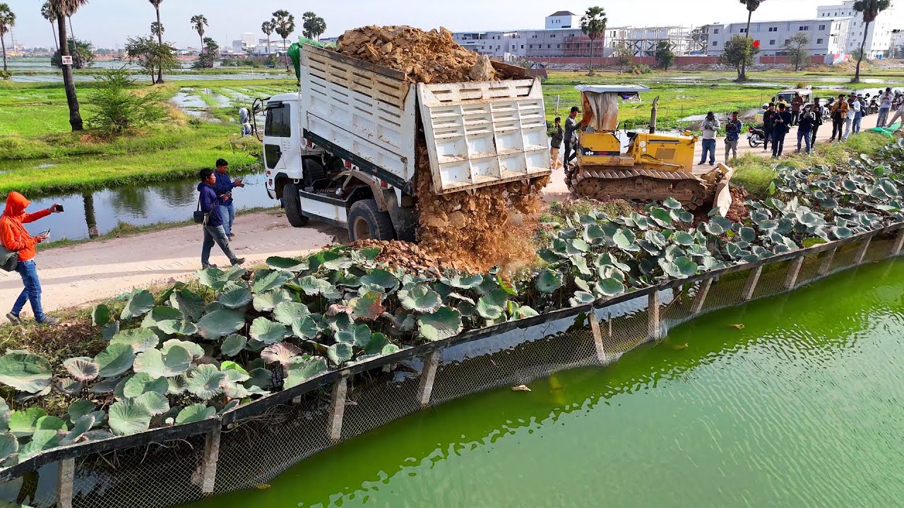 Huge Size! Be Careful! Processing Landfill Job! Dump Truck 5-Ton & Dozer PUSHING Soil into Pond!