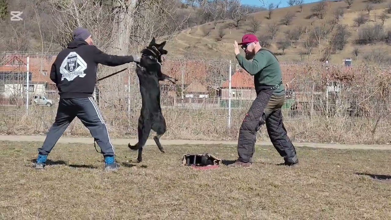 Traktor von Seklerland