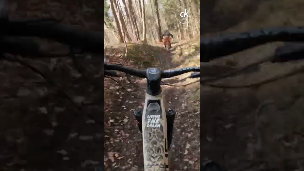 Fast trail with roots🤘#mtb #shortsvideo #youtube #youtubeshorts #shortvideo #viral #youtuber #ckmtb