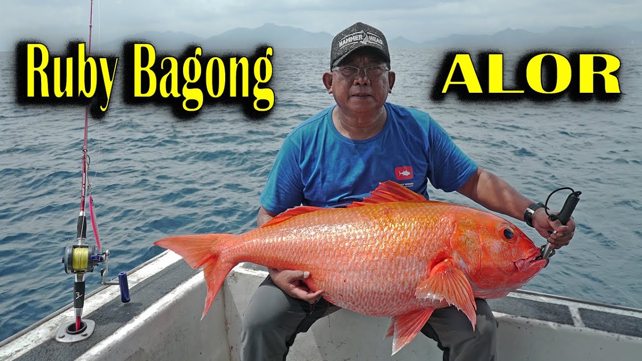 Ruby Bagong dari Alor!