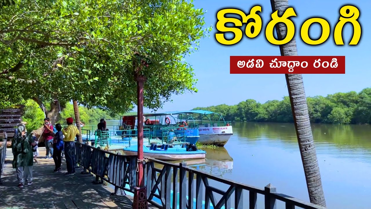 కోరంగి మడ అడవులు | Coringa Forest in Andhra Pradesh