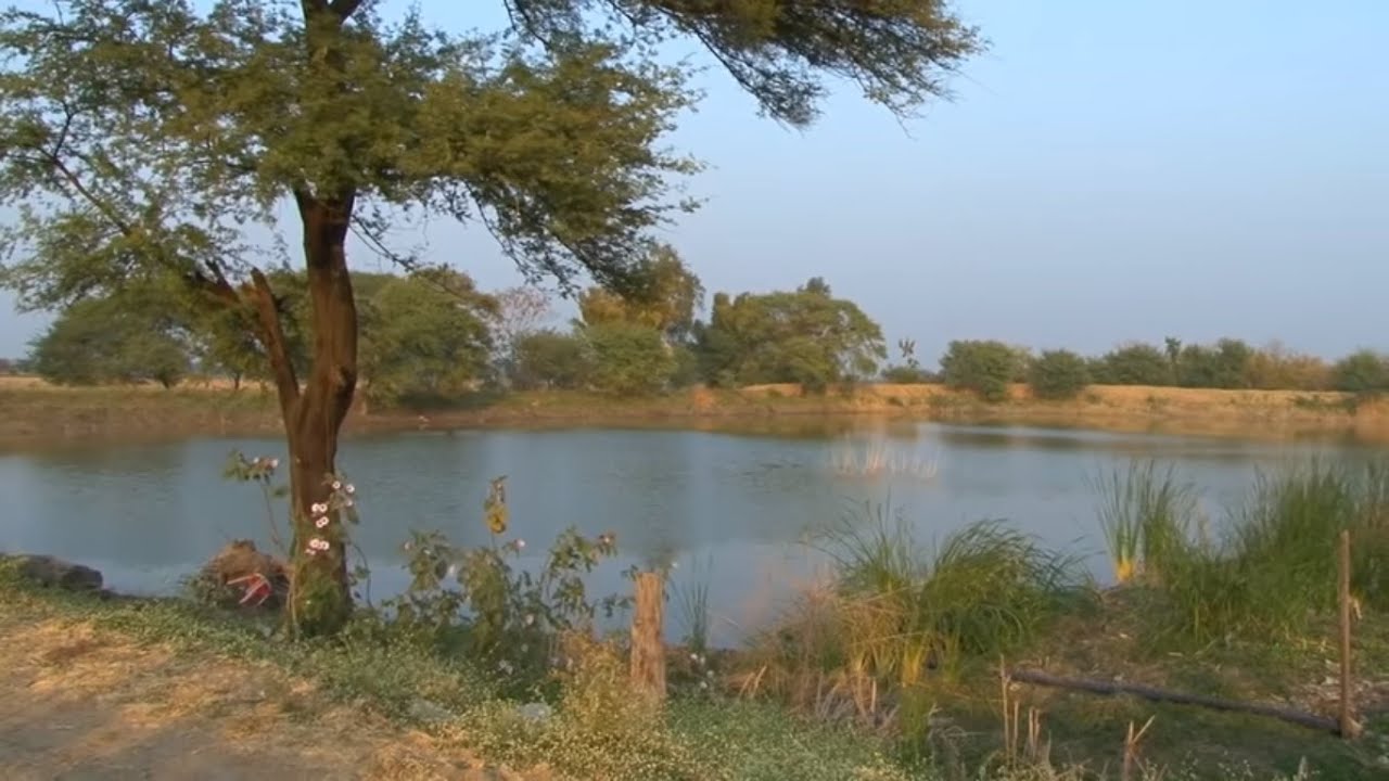 Success Story Rainwater Harvesting - Large scale Water Fields
