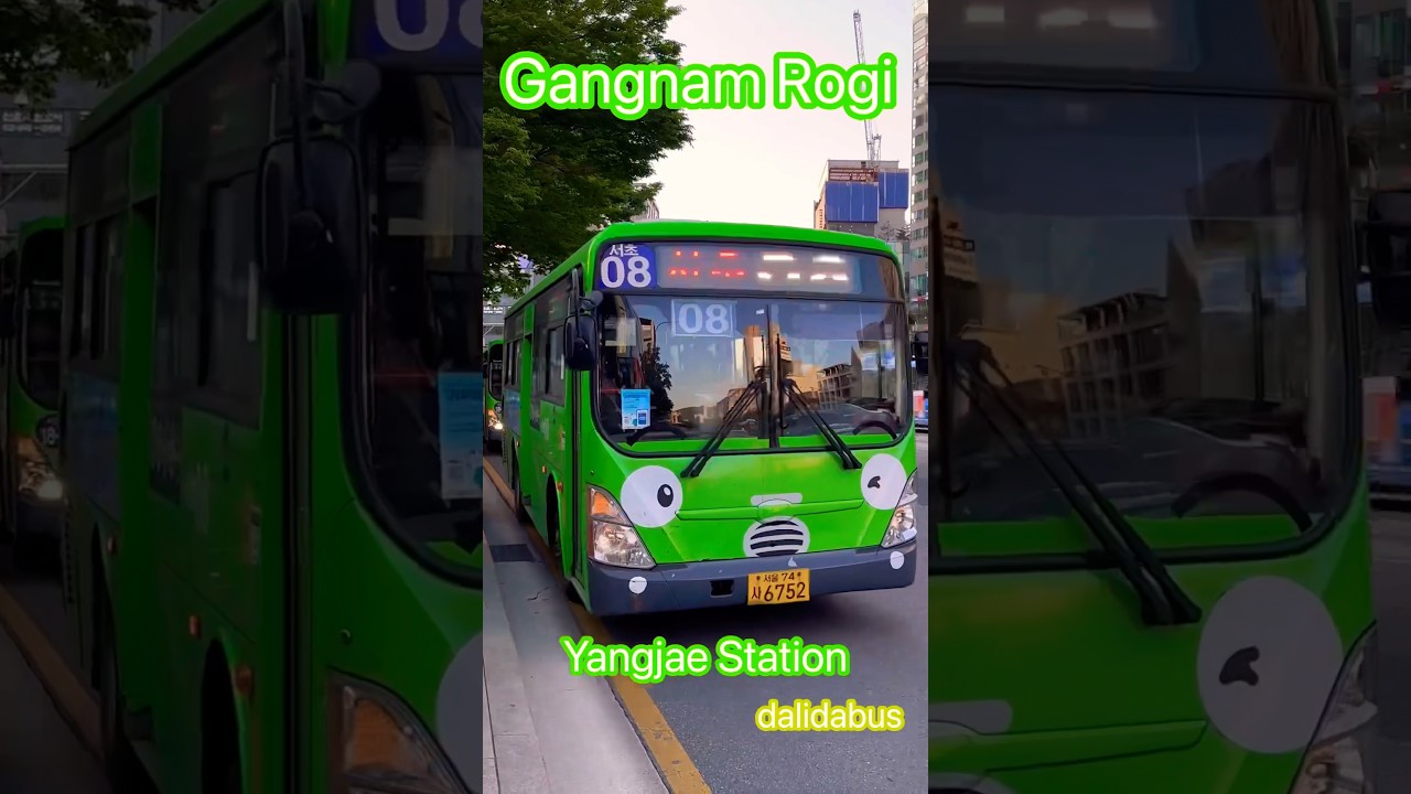 Rogi #Bus 💚 VS Japan #Shinkansen #버스  #시내버스