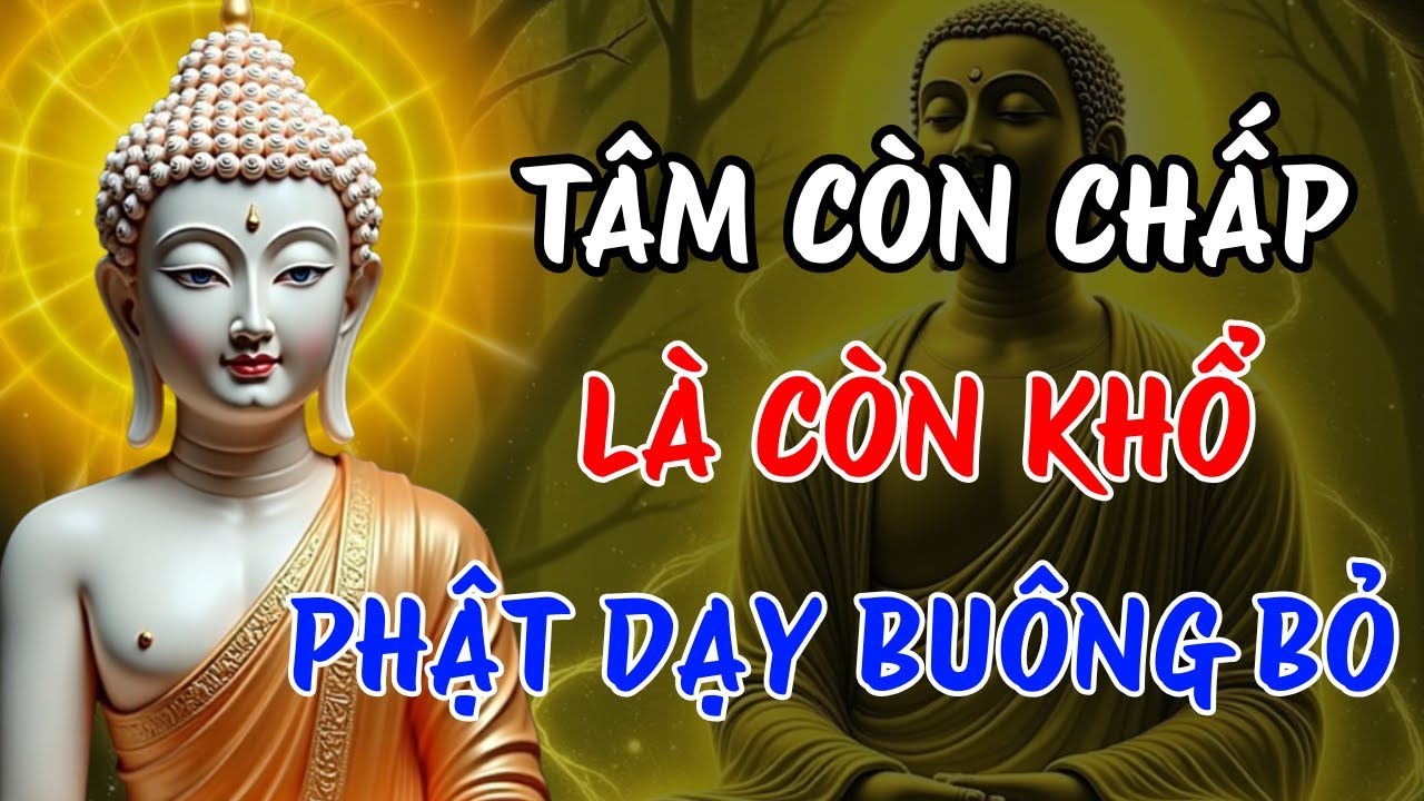 Khi t&acirc;m c&ograve;n chấp l&agrave; c&ograve;n khổ &ndash; Học c&aacute;ch bu&ocirc;ng theo lời Phật dạy | T&acirc;m Tịnh Đời An