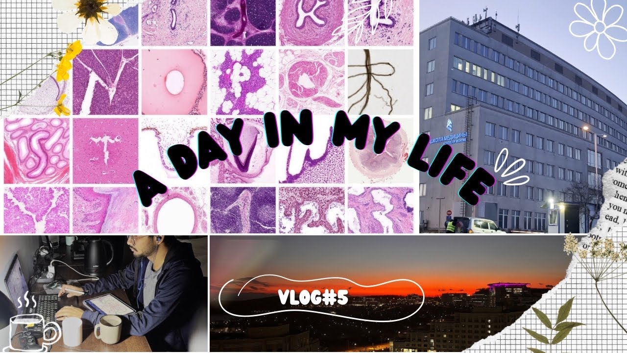 A Hectic Day In My Life Vlog | VLOG #5 | Far Eastern Federal University | MBBS | RUSSIA | 💉🩺🧑‍⚕️🧪⚗️