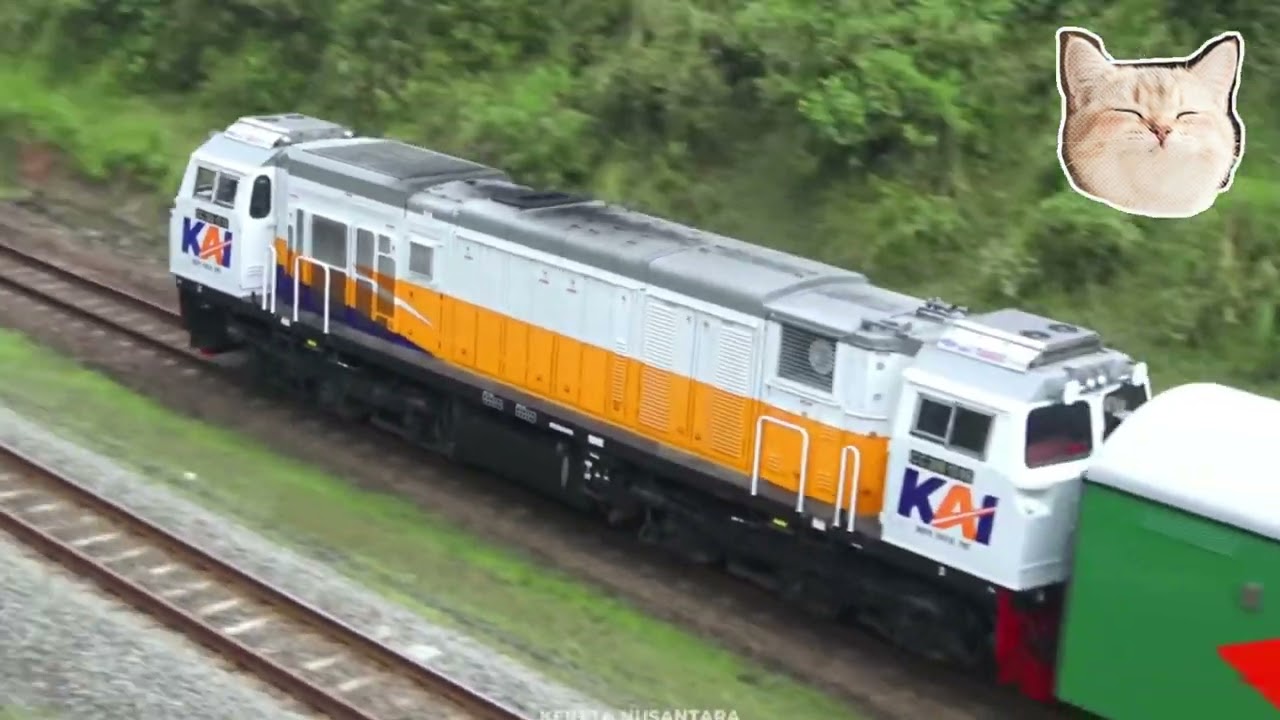 🎵 Kereta Api Anak anak 🎵