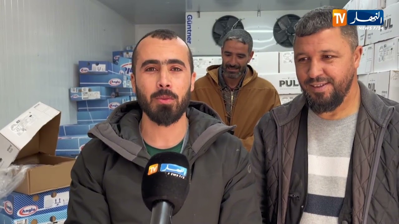 الأغواط: تدعيم السوق المحلية بلحوم مستوردة تحسبا لشهر رمضان